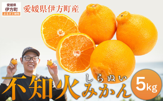 【先行予約】【数量限定】不知火5kg(石崎農園)※離島への配送不可 (2026年2月10日より順次発送予定)  【 ふるさと納税 人気 おすすめ ランキング 柑橘 みかん ミカン 蜜柑 デコポン 不知火 しらぬい 果物 フルーツ 愛媛県産 石崎農園 愛媛県 伊方町 送料無料 】 IKTAG002
