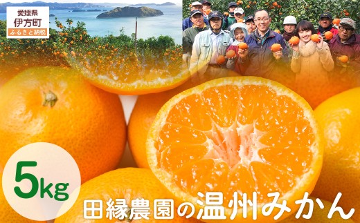 【先行予約】【数量限定】田縁農園の温州みかん（生果）5kg （2025年11月10日より順次発送） 【 ふるさと納税 人気 おすすめ ランキング みかん ミカン 蜜柑 温州みかん 温州ミカン フルーツ 果物 愛媛県産 田縁農園 愛媛県 伊方町 送料無料 】 IKTA002