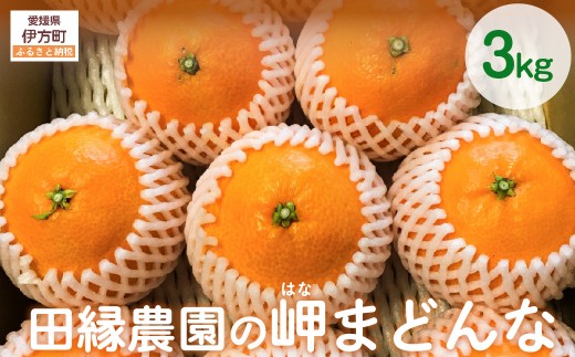 【先行予約】【数量限定】田縁農園の岬(はな)まどんな(生果)3kg (2025年11月25日より順次発送) 【 ふるさと納税 人気 おすすめ ランキング みかん ミカン 蜜柑 まどんな はなまどんな フルーツ 果物 愛媛県産 田縁農園 愛媛県 伊方町 送料無料 】 IKTA003