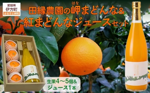 【先行予約】【数量限定】田縁農園の岬(はな)まどんな生果&紅まどんなジュースセット (2025年12月10日より順次発送) 【 ふるさと納税 人気 おすすめ ランキング みかん ミカン 蜜柑 まどんな はなまどんな 紅まどんな オレンジ ジュース オレンジジュース セット フルーツ 果物 愛媛県産 田縁農園 愛媛県 伊方町 送料無料 】 IKTA004