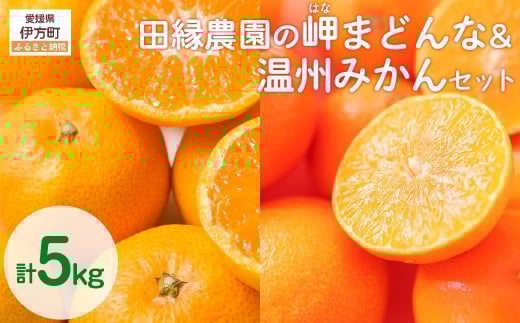 【先行予約】【数量限定】田縁農園の岬（はな）まどんな＆温州みかんセット （2025年11月25日より順次発送） 【 ふるさと納税 人気 おすすめ ランキング みかん ミカン 蜜柑 温州みかん 温州ミカン まどんな はなまどんな フルーツ 果物 愛媛県産 田縁農園 愛媛県 伊方町 送料無料 】 IKTA005