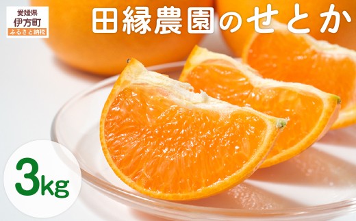 【先行予約】【数量限定】田縁農園のせとか3kg ※離島への配送不可 (2026年3月5日より順次発送) 【 ふるさと納税 人気 おすすめ ランキング みかん ミカン 蜜柑 せとか フルーツ 果物 愛媛県産 田縁農園 愛媛県 伊方町 送料無料 】 IKTA015