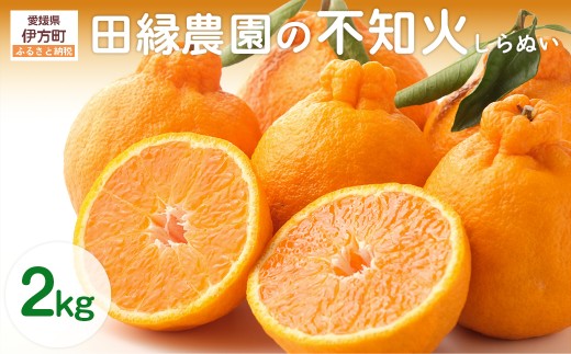 【先行予約】【数量限定】田縁農園の不知火（しらぬい）2kg ※離島への配送不可 （2026年2月10日より順次発送） 【 ふるさと納税 人気 おすすめ ランキング みかん ミカン 蜜柑 不知火 しらぬい フルーツ 果物 愛媛県産 田縁農園 愛媛県 伊方町 送料無料 】 IKTA017
