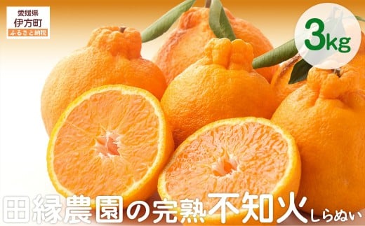 【先行予約】【数量限定】田縁農園の完熟不知火（しらぬい）3kg ※離島への配送不可 （2026年3月20日より順次発送） 【 ふるさと納税 人気 おすすめ ランキング みかん ミカン 蜜柑 不知火 しらぬい フルーツ 果物 愛媛県産 田縁農園 愛媛県 伊方町 送料無料 】 IKTA019