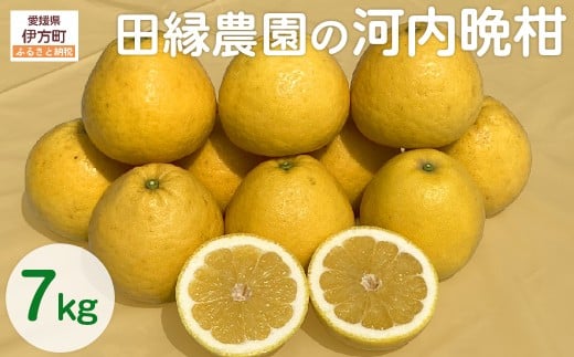田縁農園の河内晩柑約7kg ※離島への配送不可 （2026年4月10日より順次発送） 【 ふるさと納税 人気 おすすめ ランキング みかん ミカン 蜜柑 河内晩柑 フルーツ 果物 愛媛県産 田縁農園 愛媛県 伊方町 送料無料 】 IKTA020