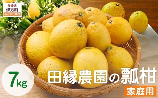 【数量限定】家庭用 瓢柑(7kg) 訳あり ※北海道・沖縄・離島への配送不可 （2026年4月1日より順次発送） 【 ふるさと納税 人気 おすすめ ランキング みかん ミカン 蜜柑 瓢柑 フルーツ 果物 訳あり 愛媛県産 田縁農園 愛媛県 伊方町 送料無料 】 IKTA021
