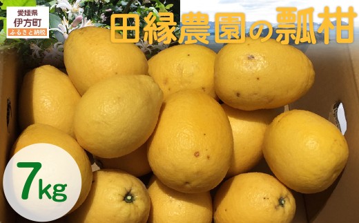 【先行予約】【数量限定】田縁農園の瓢柑（生果）7kg （2026年4月1日より順次発送） 【 ふるさと納税 人気 おすすめ ランキング みかん ミカン 蜜柑 瓢柑 フルーツ 果物 愛媛県産 田縁農園 愛媛県 伊方町 送料無料 】 IKTA023