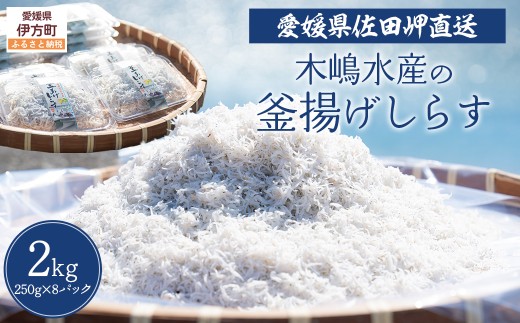 【愛媛県・佐田岬直送】木嶋水産の釜揚げしらす 2kg(250g×8パック)※離島への配送不可 【ふるさと納税 人気 おすすめ ランキング 魚介類 海産物 魚 釜揚げ しらす シラス 小分け やみつき ご飯のお供 おつまみ 酒の肴 おやつ しらす丼 サラダ 海産物 魚 冷凍 国産 木嶋水産 愛媛県産 愛媛県 伊方町 送料無料】 IKTP011