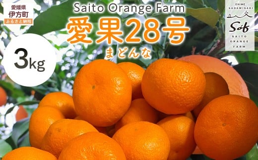 【先行予約】【数量限定】Saito Orange Farmの愛果28号(まどんな)3kg(2026年1月下旬頃より順次発送) 【 ふるさと納税 人気 おすすめ ランキング みかん ミカン 蜜柑 柑橘 愛果28号 フルーツ 果物 産地直送 西宇和 Saito Orange Farm 愛媛県産 愛媛県 伊方町 送料無料 】 IKTAQ017