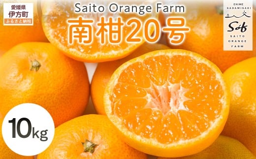 【先行予約】Saito Orange Farmの南柑20号10kg(2025年12月中下旬頃より順次発送) 【 ふるさと納税 人気 おすすめ ランキング みかん ミカン 蜜柑 柑橘 南果20号 フルーツ 果物 産地直送 西宇和 Saito Orange Farm 愛媛県産 愛媛県 伊方町 送料無料 】 IKTAQ019