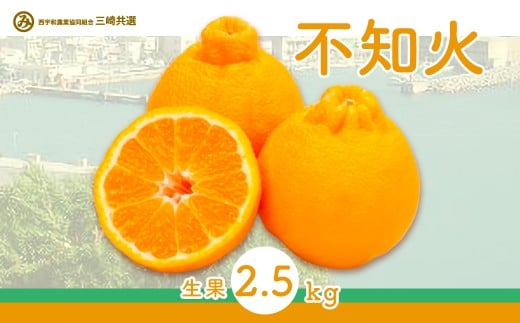 【先行予約】不知火(生果2.5kg)※離島への配送不可(2026年2月上旬~2月下旬頃に順次発送予定) 【 ふるさと納税 人気 おすすめ ランキング 柑橘 みかん ミカン 不知火 しらぬい mikan 蜜柑 果物 生果 フルーツ デコポン と同品種 愛媛県産 愛媛県 伊方町 送料無料 】 IKTBD010
