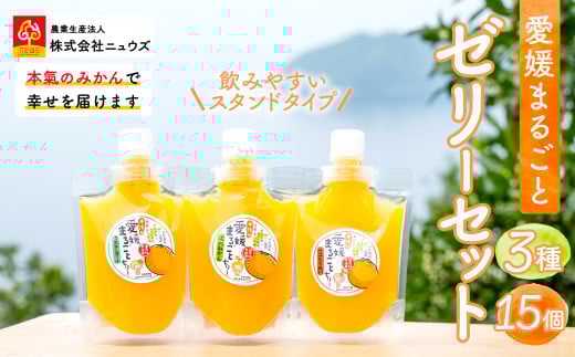 飲みやすいスタンドタイプ 愛媛まるごとゼリー 3種15個 ※離島への配送不可 [ ふるさと納税 人気 おすすめ ランキング みかん ミカン 蜜柑 ゼリー セット フルーツ 果物 ニュウズ 愛媛県 伊方町 送料無料 ]