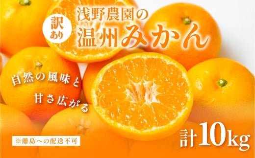 【先行予約】浅野農園の温州みかん 訳あり10kg ※離島への配送不可(2025年12月上旬~12月中旬頃に順次発送予定) 【 ふるさと納税 人気 おすすめ ランキング みかん 柑橘 ミカン 蜜柑 mikan 果物 フルーツ オレンジ 温州 訳あり 10kg  愛媛県 伊方町 送料無料 】IKTAC005