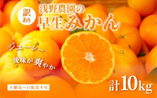 【先行予約】浅野農園の早生みかん 訳あり10kg ※離島への配送不可(2025年11月上旬~11月中旬頃に順次発送予定)  【 ふるさと納税 人気 おすすめ ランキング 柑橘 みかん ミカン オレンジ 訳あり フルーツ 果物 10kg くだもの 旬 愛媛県産 愛媛みかん 浅野農園 愛媛県 伊方町 送料無料 】IKTAC013