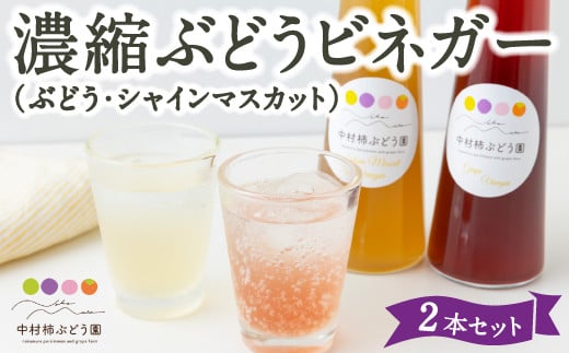 中村柿ぶどう園 濃縮ぶどうビネガー2本セット(ぶどう・シャインマスカット) 各300ml フルーツビネガー 果実酢 フルーツ酢 お酢 酢 ビネガー 濃縮タイプ 飲料 福岡県 うきは市