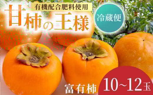 【先行予約】有機配合肥料使用 冷蔵富有柿 10玉から12玉 2025年12月中旬から2026年1月下旬 出荷予定【春光園】 柿 かき 甘柿 甘い 果物 フルーツ