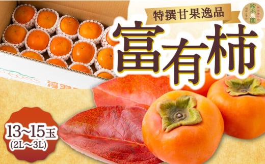 【先行予約】鈴木農園 特撰甘果逸品 富有柿 13玉から15玉(2Lから3Lｻｲｽﾞ) 2025年11月中旬から12月上旬 出荷予定