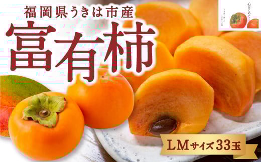 【先行予約】竹の葉月柿農園 富有柿 LMサイズ 33玉 2025年11月上旬から11月下旬 出荷予定