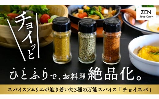 スープカレー専門店 禅 チョイスパ 3種の詰め合わせセット (スパイシー味・カレー味・ホットチリ味) 各40g×3本