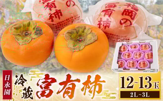 日永園 冷蔵富有柿 12玉から13玉(2Lから3Lサイズ) 【2025年12月下旬から2026年2月下旬出荷予定】 柿 フルーツ 果物