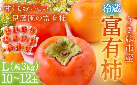 【先行予約】伊藤園 冷蔵富有柿  （Lサイズ） 10玉～12玉 約3kg 【2025年12月中旬から12月下旬出荷予定】 ／ 富有柿 柿 果物 フルーツ くだもの うきは市
