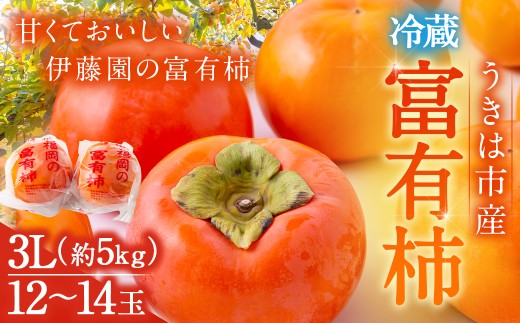 【先行予約】伊藤園 冷蔵富有柿 （3Lサイズ） 12玉から14玉 約5kg 【2025年12月中旬から12月下旬出荷予定】 ／ 富有柿 柿 果物 フルーツ くだもの うきは市