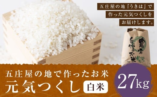 【特Aランク米】五庄屋の地で作ったお米 元気つくし 白米 (27kg) 【2025年10月上旬より順次発送予定】 こめ コメ ごはん ご飯 福岡県うきは市産 九州産