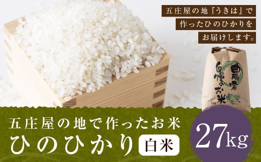 【特Aランク米】五庄屋の地で作ったお米 ひのひかり 白米 (27kg) 【2025年10月下旬より順次発送予定】 ヒノヒカリ こめ コメ ごはん ご飯 福岡県うきは市産 九州産