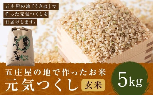 【特Aランク米】五庄屋の地で作ったお米 元気つくし 玄米 (5kg) 【2025年10月下旬より順次発送予定】 こめ コメ ごはん ご飯 福岡県うきは市産 九州産