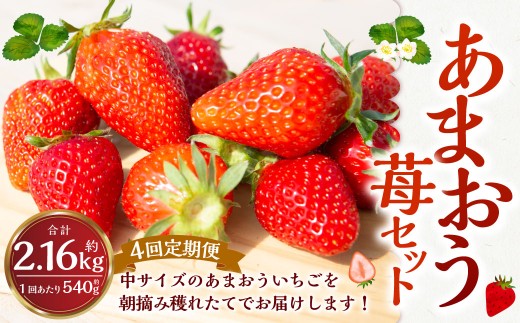 【4回定期便】よかもんいちご あまおう苺セット2パック 【2026年1月上旬から4月下旬 毎月 出荷予定】 いちご 苺 イチゴ 旬 フルーツ 果物 くだもの 果実 冷蔵 福岡県 うきは市