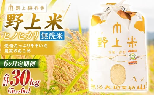 【6か月定期便】 無洗米 野上米 5㎏×6回 計30kg 【2025年10月下旬より発送予定】 ヒノヒカリ 米 こめ コメ お米 常温 国産