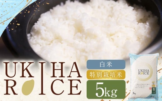 UKIHA RICE 白米 5kg (特別栽培米) 【2025年11月上旬から2026年3月下旬発送予定】 ヒノヒカリ ひのひかり 精米 米 こめ コメ お米 おこめ 白米 精米 ごはん ご飯 お中元 お歳暮 ギフト プレゼント 贈答品 おすすめ 国産