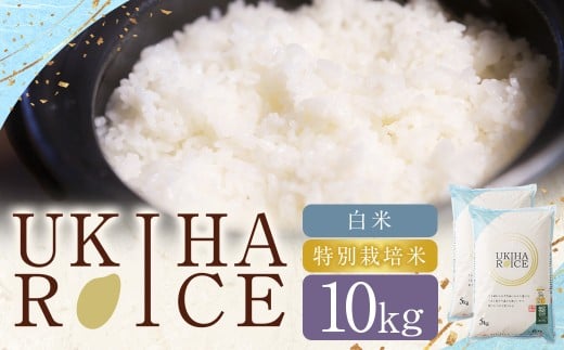 UKIHA RICE 白米 10kg (特別栽培米) 【2025年11月上旬から2026年3月下旬発送予定】 ヒノヒカリ ひのひかり 精米 米 こめ コメ お米 おこめ 白米 精米 ごはん ご飯 お中元 お歳暮 ギフト プレゼント 贈答品 おすすめ 国産