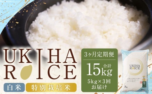 【3ヶ月定期便】 みずほファーム UKIHA RICE 白米 5kg✕3回 (特別栽培米) 計15kg ヒノヒカリ ひのひかり 精米 米 こめ コメ お米 おこめ 白米 精米 ごはん ご飯 お中元 お歳暮 ギフト プレゼント 贈答品 定期便 おすすめ 国産