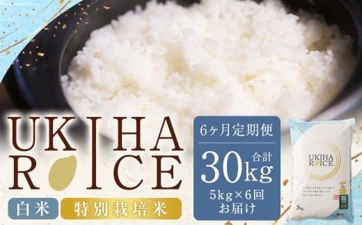 【6ヶ月定期便】 みずほファーム UKIHA RICE 白米 5kg✕6回 (特別栽培米) 計30kg 【2025年12月上旬~2026年7月下旬発送予定】 ヒノヒカリ ひのひかり 米 こめ コメ お米 おこめ 白米 精米 ごはん ご飯 お中元 お歳暮 ギフト プレゼント 贈答品 おすすめ 国産