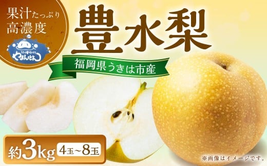 【先行予約】 やまんどん 豊水梨 4玉から8玉 (約3kg) 【2026年8月下旬~9月上旬より順次発送予定】 梨 なし ナシ 豊水 ほうすい 果物 くだもの フルーツ 果実 ジューシー お取り寄せ 福岡県 うきは市 冷蔵