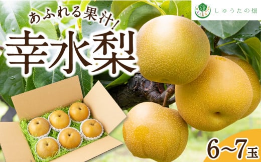 【先行予約】 しゅうたの畑 あふれる果汁 幸水梨 6玉から7玉 【2026年7月下旬~8月上旬より順次発送予定】 梨 なし ナシ 幸水 こうすい 果物 くだもの フルーツ 果実 ジューシー 産直農園 お取り寄せ 福岡県 うきは市 常温