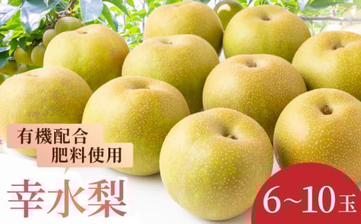 【先行予約】有機配合肥料使用 幸水梨 6~10玉 (約3kg) 【2026年7月下旬~8月上旬より順次発送予定】 【春光園】 梨 なし 果物 フルーツ 幸水 こうすい 果実 福岡県 うきは市 常温