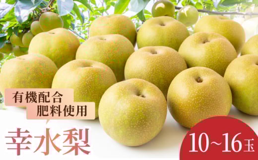 【先行予約】有機配合肥料使用 幸水梨 10~16玉 (約5kg) 【2026年7月下旬~8月上旬より順次発送予定】 【春光園】 梨 なし 果物 フルーツ 幸水 こうすい 果実 福岡県 うきは市 常温