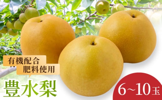 【先行予約】有機配合肥料使用 豊水梨 6~10玉 (約3kg) 【2026年8月下旬より順次発送予定】 【春光園】 梨 なし 果物 フルーツ 豊水 ほうすい 果実 福岡県 うきは市 常温