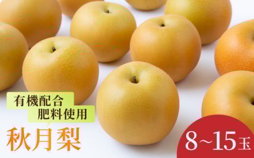 【先行予約】有機配合肥料使用 秋月梨 8~16玉 (約5kg) 【2026年8月下旬~9月上旬より順次発送予定】 【春光園】 梨 なし 果物 フルーツ 秋月 あきづき 果実 福岡県 うきは市 常温