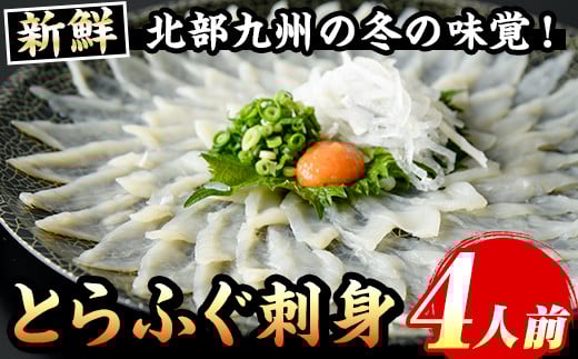 とらふぐ刺身(4人前) 菊盛り一尺大皿30cm ふぐ フグ 本ふぐ ふぐ刺し ふぐ皮 てっさ もみじおろし 高級 お祝い ギフト  贈り物 贈答用 ギフト 冷凍【マル五】as06-003