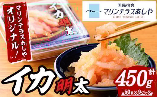 マリンテラスあしやのイカ明太(計450g・50g×9P) 明太 明太子 めんたい めんたいこ 海鮮 魚介 魚卵 いか イカ いかめんたい いか明太 セット 福岡 名物 おかず おつまみ 晩酌 冷凍【マリンテラスあしや】as13-008