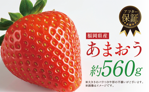 [数量限定!先行予約受付中!2026年1月上旬より順次発送予定]福岡県産 あまおう (計約560g・約280g×2P) いちご イチゴ 苺 ストロベリー 果物 フルーツ おやつ デザート 福岡県 エコファーマー 冷蔵[ONE GO]as45-001