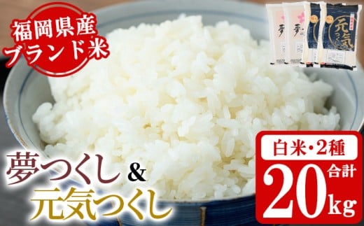 《白米》福岡県産米食べ比べセット「夢つくし」と「元気つくし」(2種計20kg・各5kg×2袋) 白米 米 お米 おこめ ごはん ご飯 常温 福岡県産 ブランド米 ゆめつくし げんきつくし 常温 常温保存 おにぎり おむすび お弁当 ライス【朝ごはん本舗】as05-060