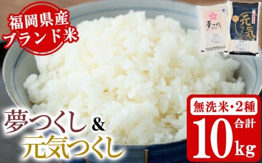 《無洗米》福岡県産米食べ比べセット「夢つくし」と「元気つくし」(2種計10kg・各5kg×1袋) 無洗米 米 お米 おこめ ごはん ご飯 常温 福岡県産 ブランド米 ゆめつくし げんきつくし 常温 常温保存 おにぎり おむすび お弁当 ライス【朝ごはん本舗】as05-084