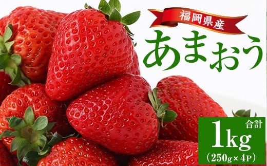 <先行予約受付中!2026年2月上旬より順次発送予定>福岡県産 あまおう (計1kg・250g×4P) いちご イチゴ 苺 ストロベリー 果物 フルーツ おやつ デザート 1000g 4パック 冷蔵【錦屋商事】as48-001