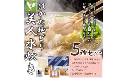 [福岡限定]はかた地どり美人水炊き5種セット 2〜3人前 吉富町/株式会社MEAT PLUS [BGAB007] みずたき 鍋 鍋セット 人気 ふるさと 福岡県 博多