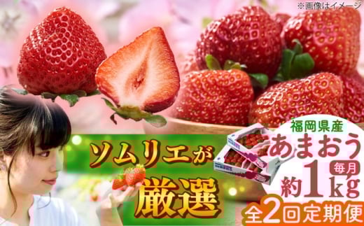 【全2回定期便】福岡産【春】 あまおう 4パック 吉富町/南国フルーツ株式会社 [BGAG051]