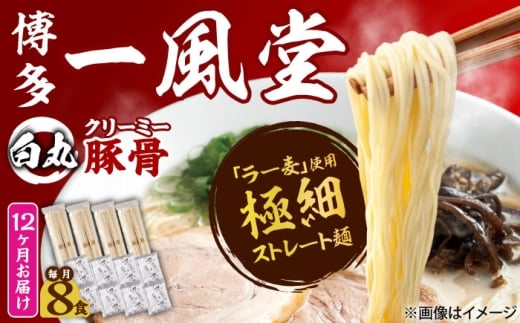 【全12回定期便】ラー麦使用「一風堂」とんこつラーメン 白丸(8食) 吉富町/株式会社吉浦コーポレーション [BGAD033]